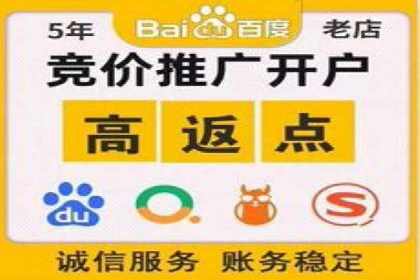 百度竞价广告运营全解析：成功案例揭秘